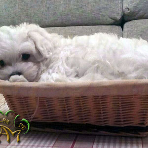 Image (2)