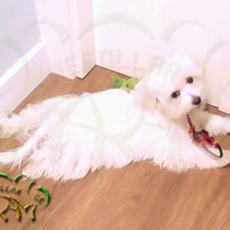 Image (7)